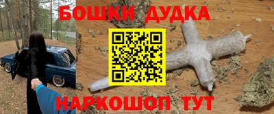 стаф Дубна