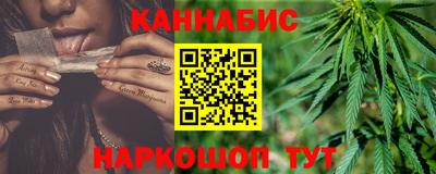 стаф Дубна