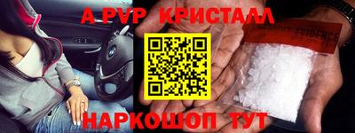 стаф Дубна