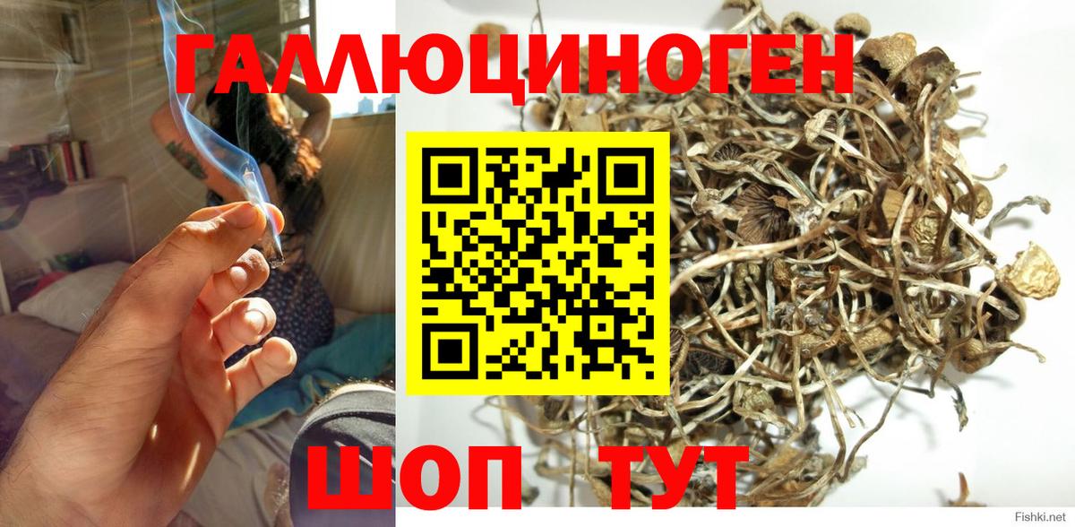купить наркотики цена  Муром  Псилоцибиновые грибы ЛСД 