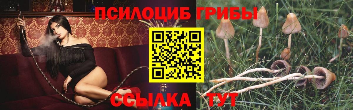 Муром  Галлюциногенные грибы прущие грибы  Вход с VPN  Псилоцибиновые грибы Psilocybine cubensis 
